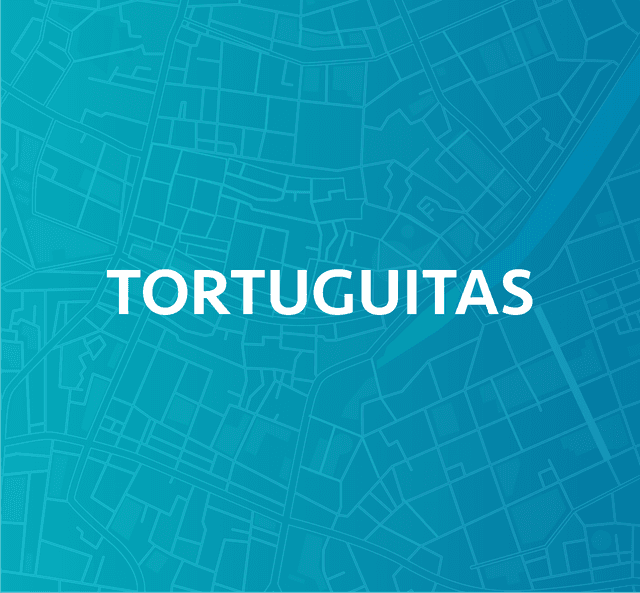 Tortuguitas